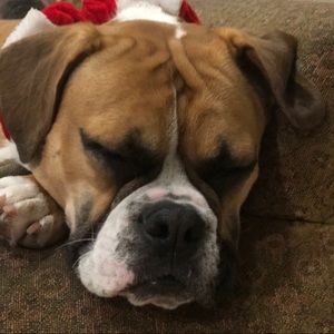 Meet your Posher, Angela